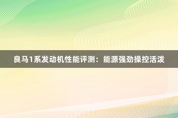 良马1系发动机性能评测：能源强劲操控活泼